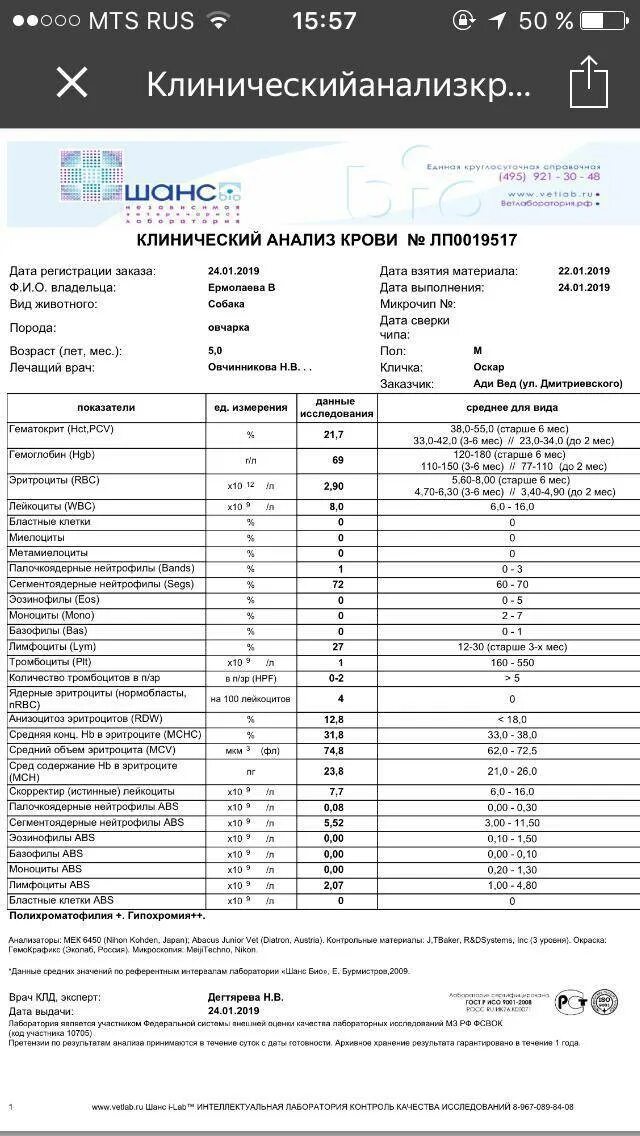 Сегментоядерные повышены у ребенка причины. Клинический анализ крови норма сегментоядерные. общий анализ крови сегментоядерные норма у мужчин. общий анализ крови норма сегментоядерных нейтрофилов. анализ крови показатели палочкоядерные и сегментоядерные.