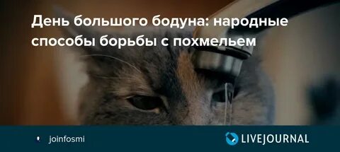 Привет с большого бодуна год