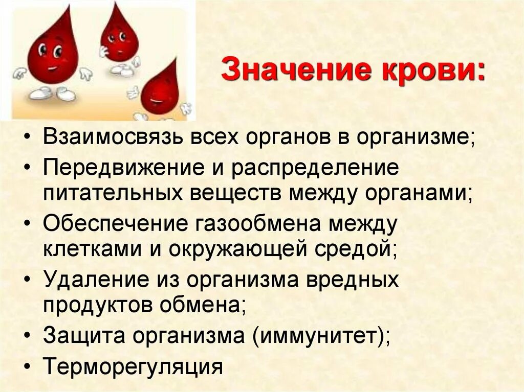 Есть ли слово кровь. Значение крови. Значение крови для организма. В чем значение крови для организма человека. Значение крови для человека.