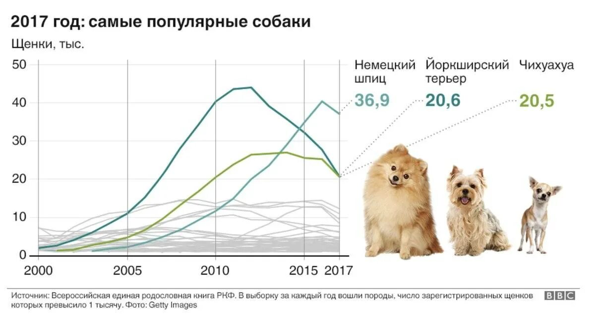 С какой собакой по мнению