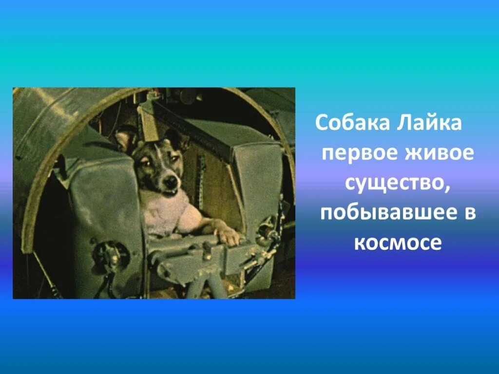 Исследование космоса в ссср 4 класс. Исследование космоса в СССР. Факты об исследовании космоса в СССР. Интересные факты о космосе в СССР. Факты о космосе в СССР для 4 класса.