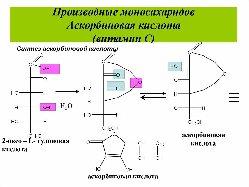 Производные моносахаридов аскорбиновая кислота. Производные моносахаридов. Синтез аскорбиновой кислоты. Синтез моносахаридов. Моносахариды образуются в результате