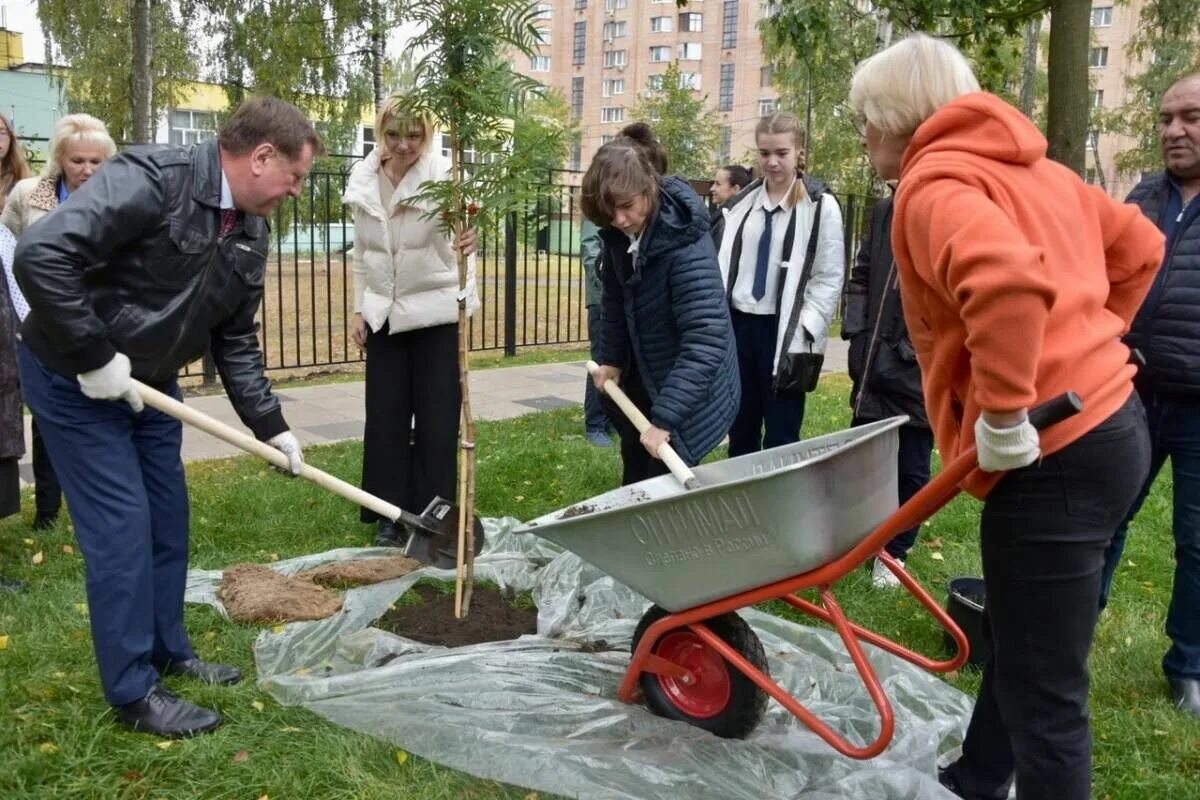 Сквер ветеранов Балашиха. Благоустройство парков и скверов. Озеленение улиц посадка деревьев. Сквер ветеранов Северодвинск благоустройство.