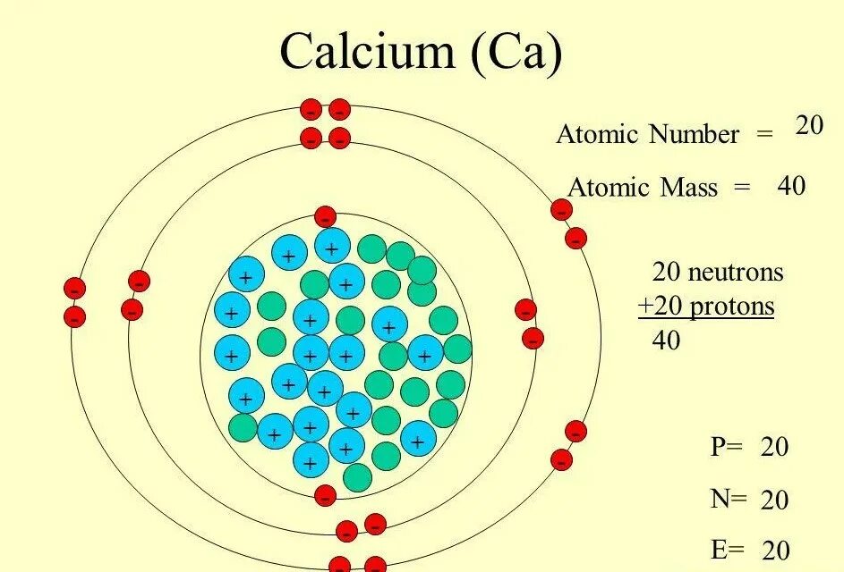 Сколько атомов в кальции. Строение ядра атома кальция. Строение атома кальция CA. Структура строения атома кальция. Строение ядра кальция.