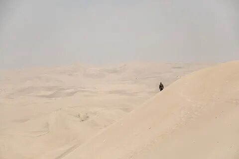 Одинокая пустыня