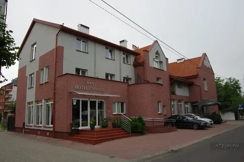 Бяла подляска