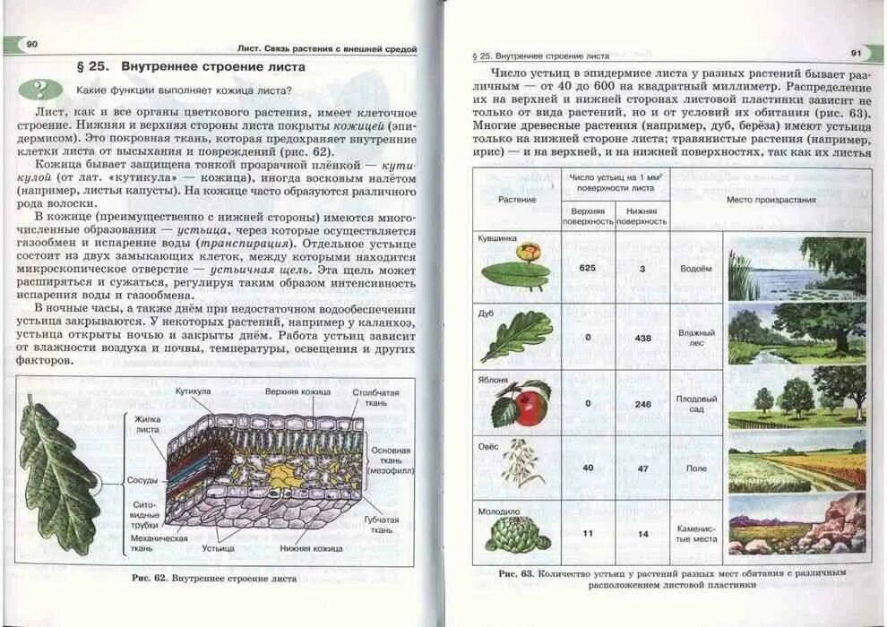 Биология 5 класс стр 21. Трайтак биология. Биология 6 класс учебник Трайтак читать. Биология 5 класс учебник Трайтак. Биология. 5 Класс. Учебник.