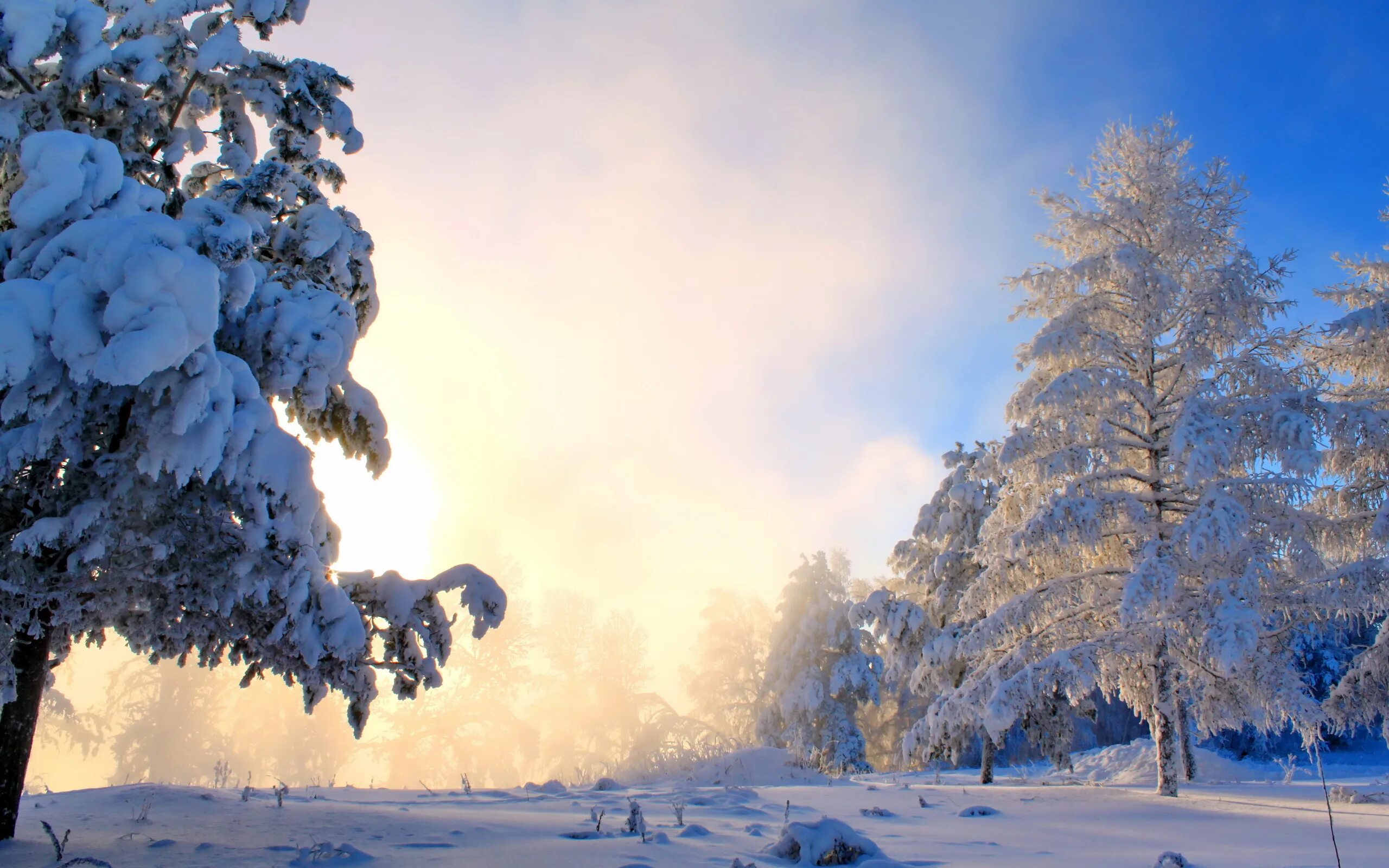 Зимний пейзаж. Зимняя природа. Красивая зима. Пейзаж зимнего леса. Зимнее снежное день