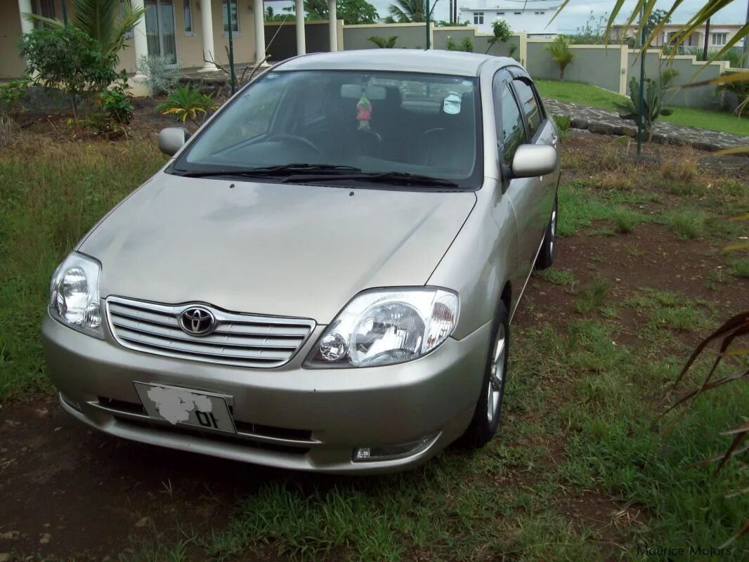 Купить королла 2001. Toyota Corolla 2001. Тойота Королла 2001 года. Тойота Corolla 2001. Тойота Королла 2001 седан.