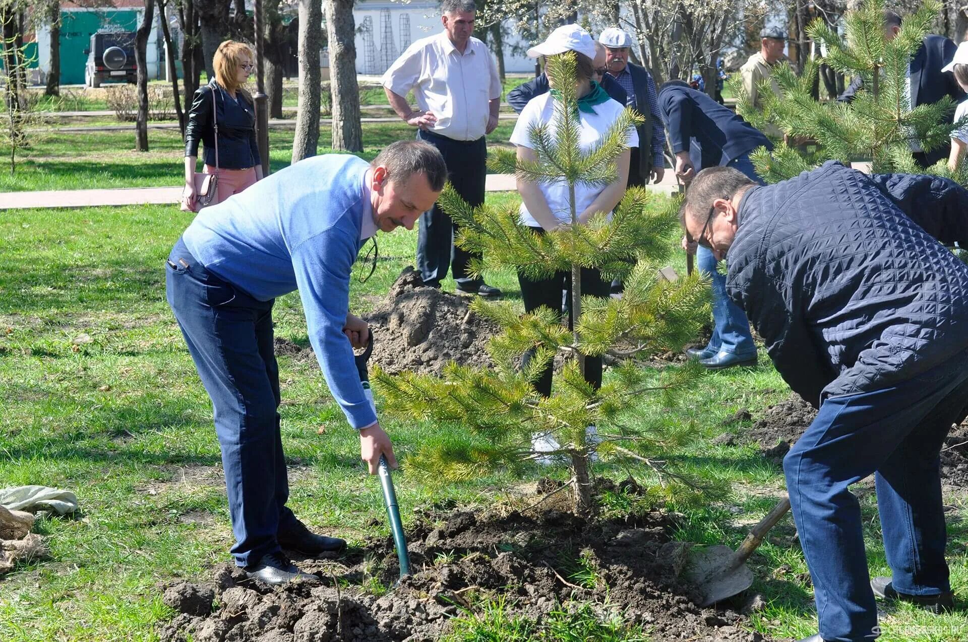 Посадив парке 4 дерева