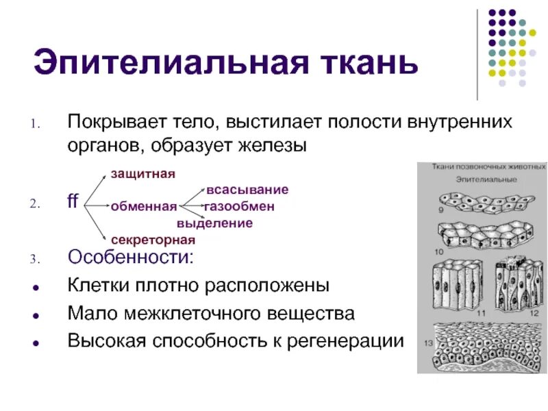 Плотный приложить