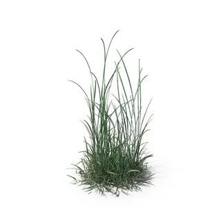 Simple grass
