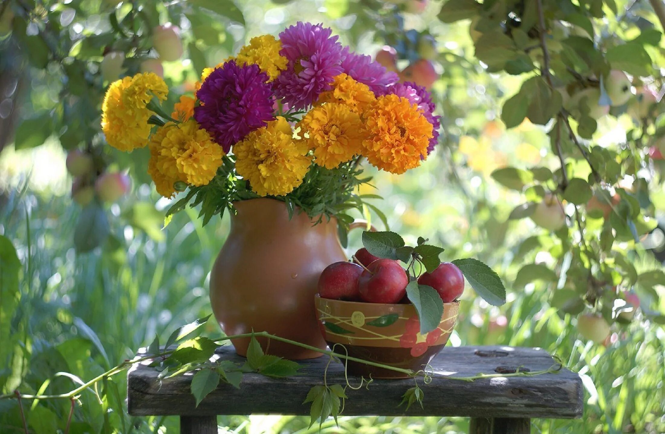море фрукты. осень в саду. инжир абхазия. отдых конец августа. конец августа.