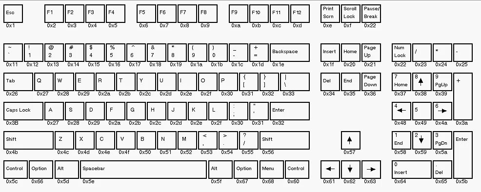 1 5 x 31. Скан коды клавиатуры Windows. Код клавиши f7 hex. Скан коды клавиатуры ассемблер. Номера кнопок на клавиатуре.