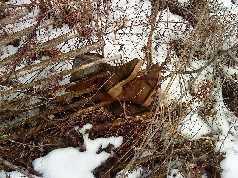 Погода в семлево вяземский. Путьково Вяземский район. Деревня Путьково Вяземский район. Семлево Вяземский район. Хватов завод Вяземского района.