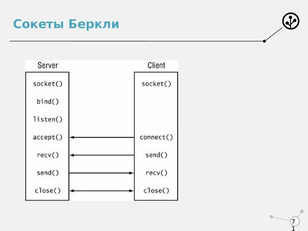 Подключение к сокету. Что такое сокеты в программировании. Модель сокетов Беркли. Сетевое программирование сокетов. Схема работы сокетов.