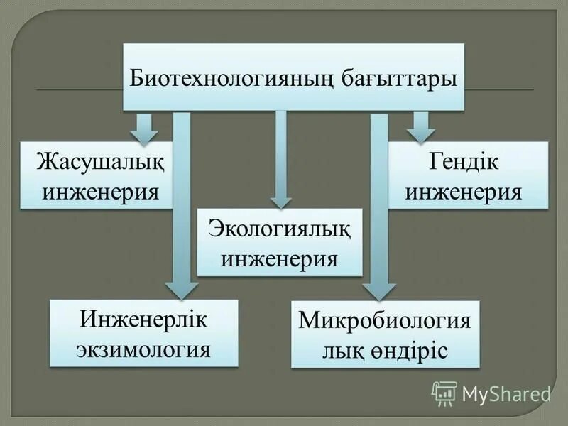 биотехнология жана гендик инженерия. генная инженерия в селекции. гендік инженерия презентация. гендік инженерия эссе. гендік инженерия және биотехнология.