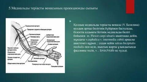 Қара жігіттер тобыр орыстың бейшара әйелін трахает