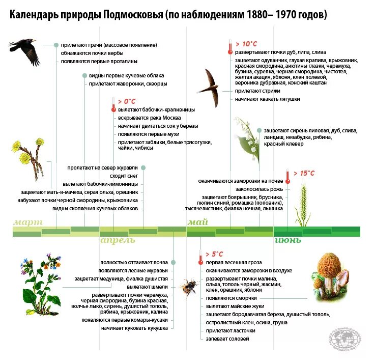 Фенологический календарь. Календарь фенологических наблюдений. Фенологический дневник.