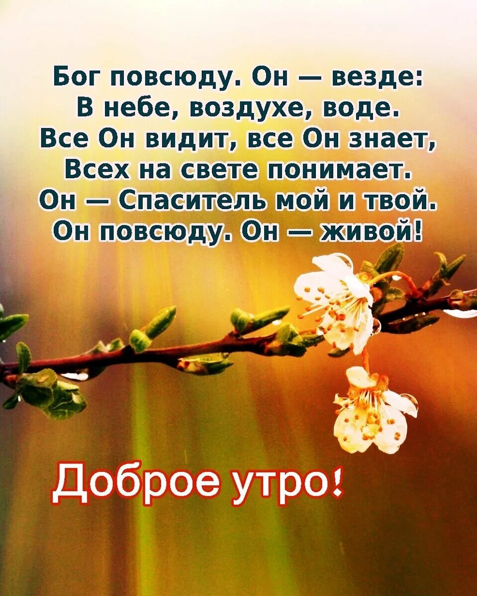 Христианские пожелания. Христианские открытки на каждый день. Христианские пожелания на каждый день. Христианские пожелания на день. Хорошее христианское пожелание