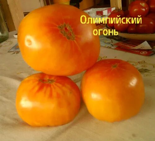 Каталог товаров