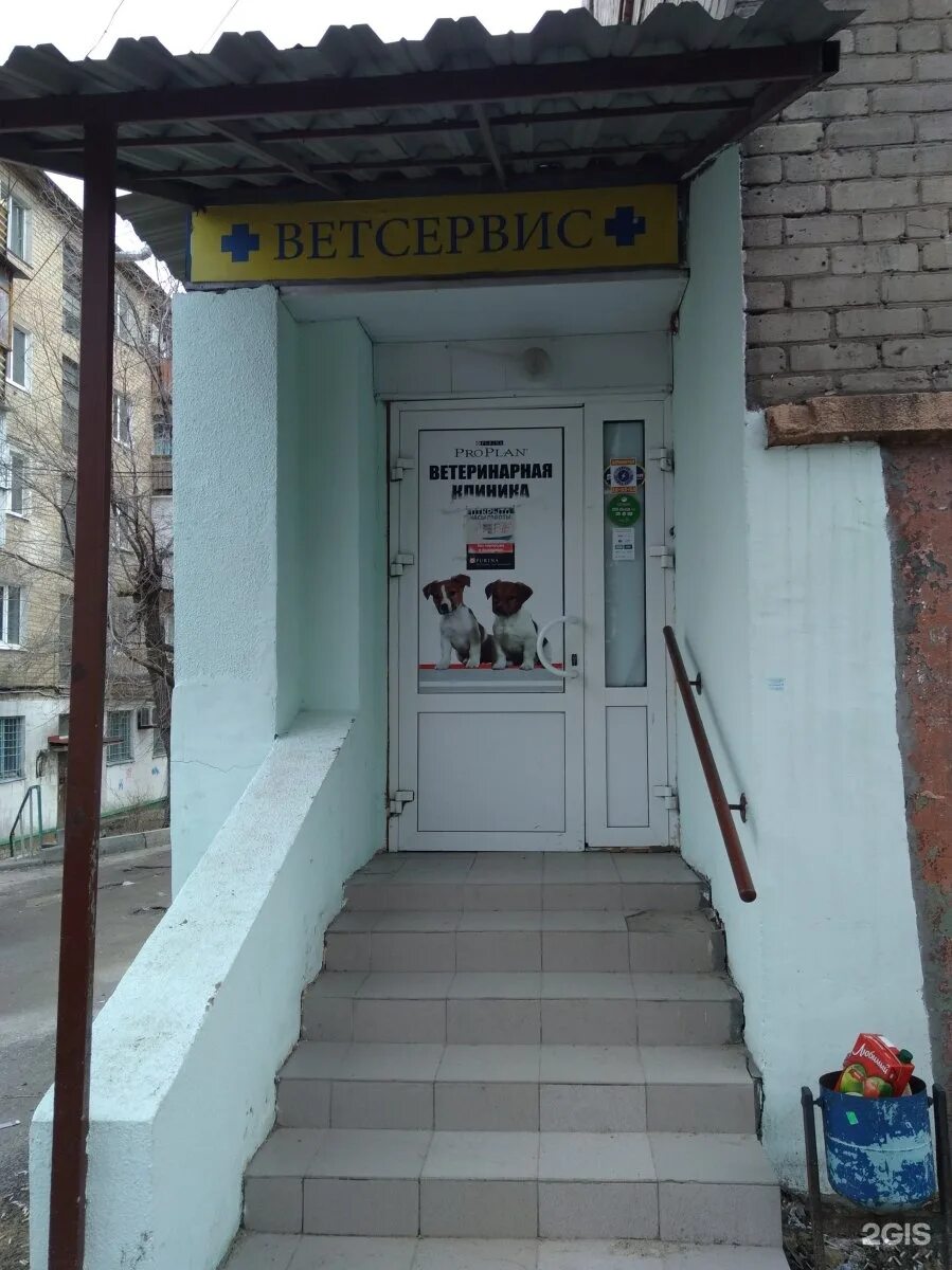 Номер телефона ветлечебницы. Ветеринарный центр волгоград. Волгоград ветеринарная круглосуточная. Номер ветеринарной клиники. Волгоград ветеринарка чулкова.