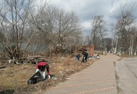 Курск свежее