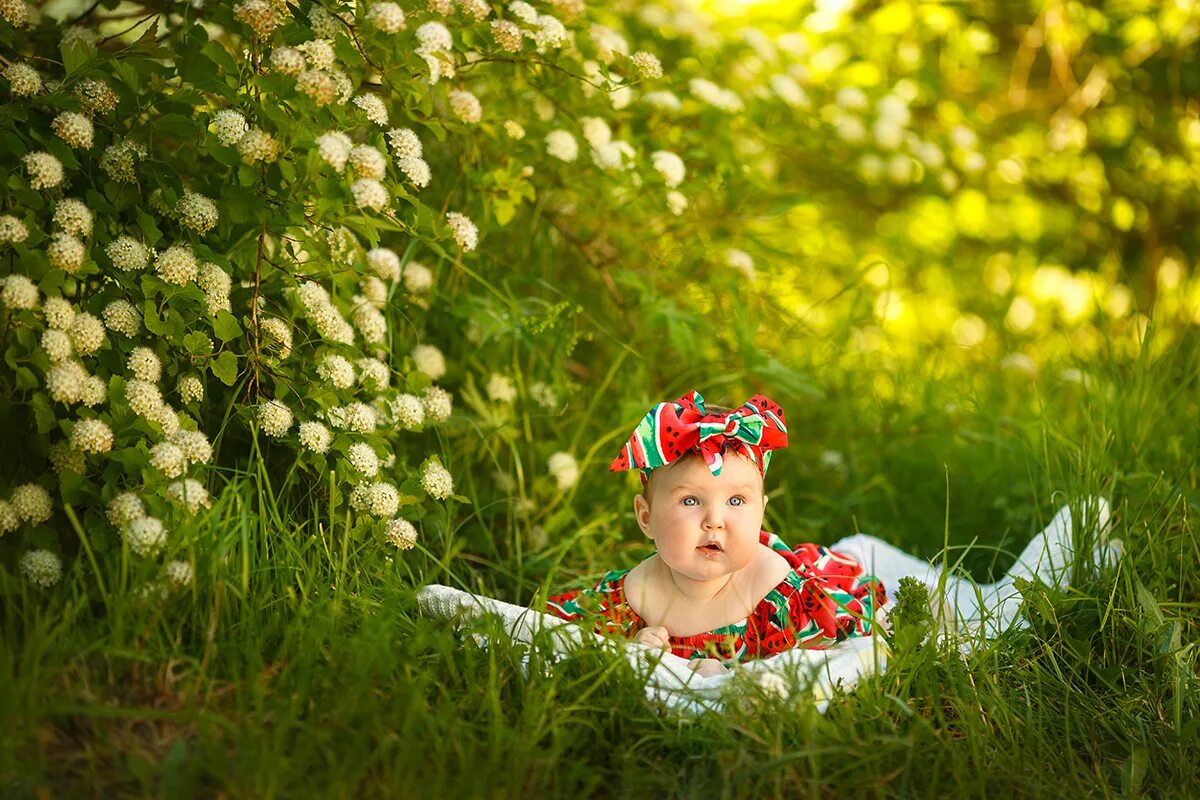 6 месяцев даче. Фотосессия на природе. Детская фотосессия на природе. Детская фотосессия на природе летом. Фотосессия на природе тематика.