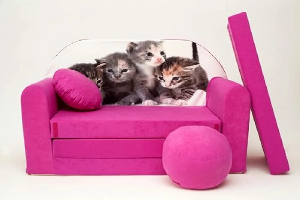 Cat sofa розовые. Диванчик для кошки. Диван кошка. Кот на диване. Кошка софа.