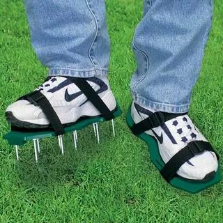 Set foot