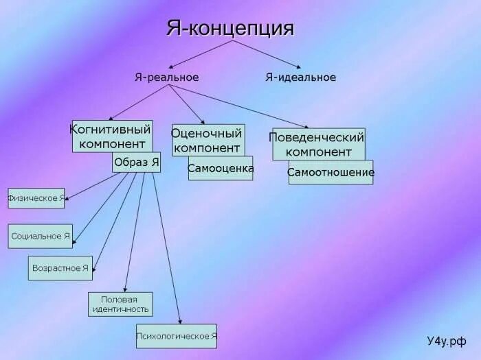 Выделяют составляющие элементы я концепции. Когнитивная составляющая я-концепции. составляющие я концепции. компоненты образа я.