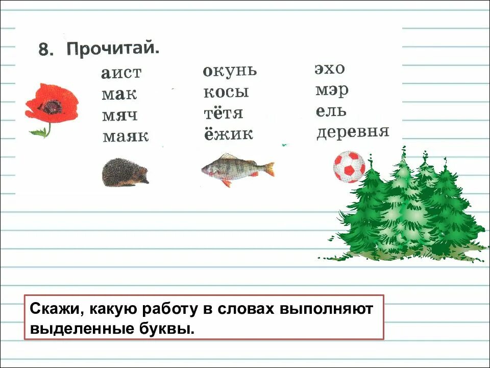 Какую работу выполняет буква е. Какую работу выполняют в словах выделенные буквы. какую работу выполняют буквы е ё ю я. какую работу выполняет буква в слове. : буквы е, ё, ю, я и их работа в словах..