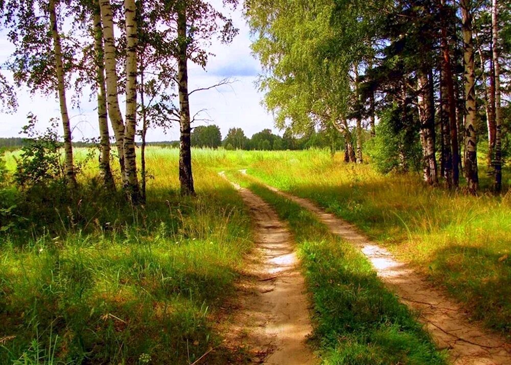 Деревенская проселочная дорога. Тропинка к деревенскому дому. Тропинка в деревне вечером. Сельская тропа. Поле деревня.