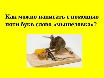 Мышью 5 букв