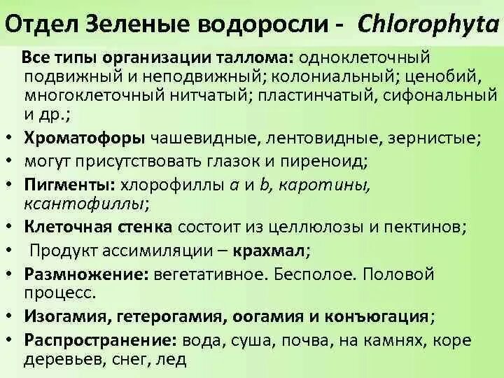 Характеристики для описания зеленых водорослей. Характеристика отдела зеленые водоросли. Отдел зеленые водоросли общая характеристика. Особенности зелёных водорослей кратко. Охарактеризовать отделы водорослей (зеленые,.