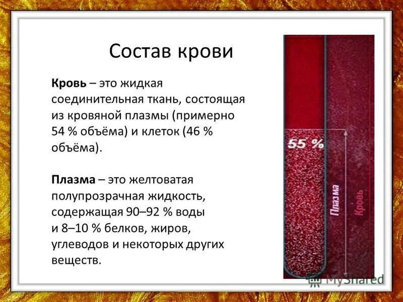 Кровь это жизнь без нее. Вывод состав крови. Кровь вывод. Кровь и состав крови заключение. Состав крови 4 класс.