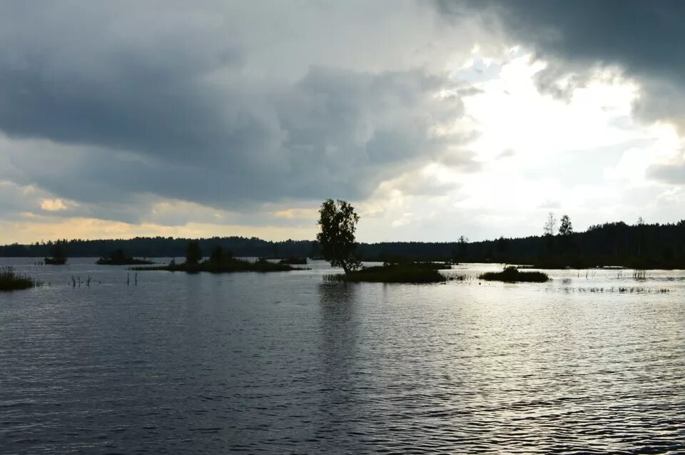 Озеро новое россия. Озеро Дуниловское Ярославская. Дуниловские карьеры. Озеро Лепекино. Большесельский район болото.