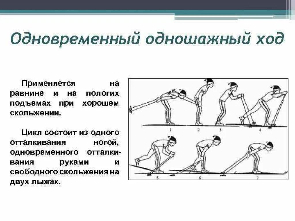 Реферат по физкультуре на тему лыжные ходы. Одновременный одношажный ход на лыжах техника. Одношажный лыжный ход. Одношажный и двухшажный ход на лыжах. Виды лыжных ходов одновременный одношажный ход.