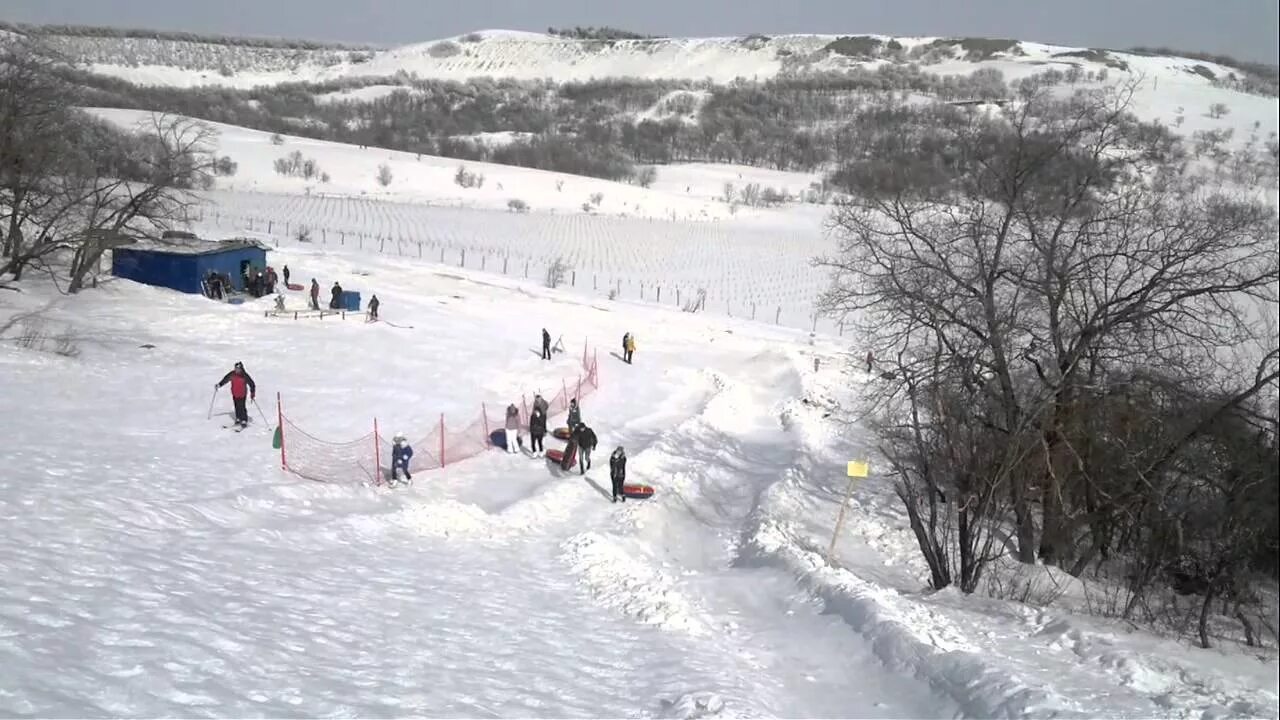 Корольков сад саратов купить. Корольков сад Саратов. Агротуристический парк Корольков сад Саратов. Агроцентр Саратов Корольков сад.