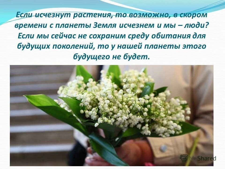 Цветок на земле какие вопросы по содержанию. Что будет происходить если исчезнут растения. Исчезновение растений. Растения исчезнувшие с нашей планеты. Что будет если все растения исчезнут.