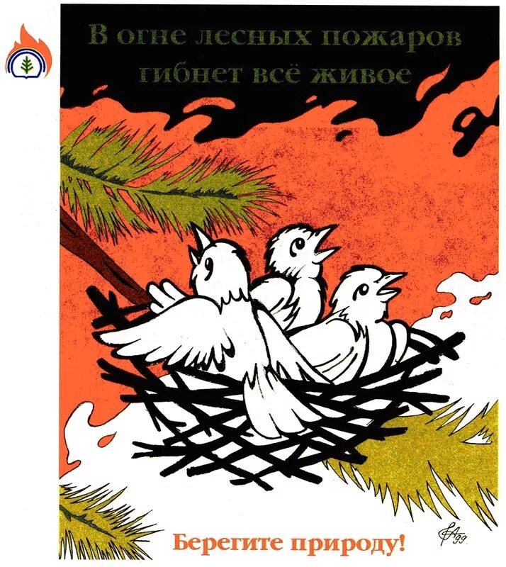 Берегите птиц берегите природу. Советские плакаты о защите природы. охрана природы в ссср. советские плакаты берегите природу. агитационный плакат про природу.