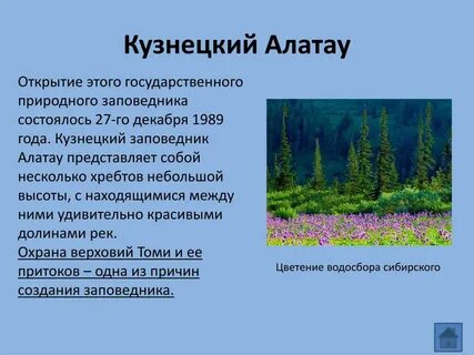 К какому типу ландшафта относится заповедник
