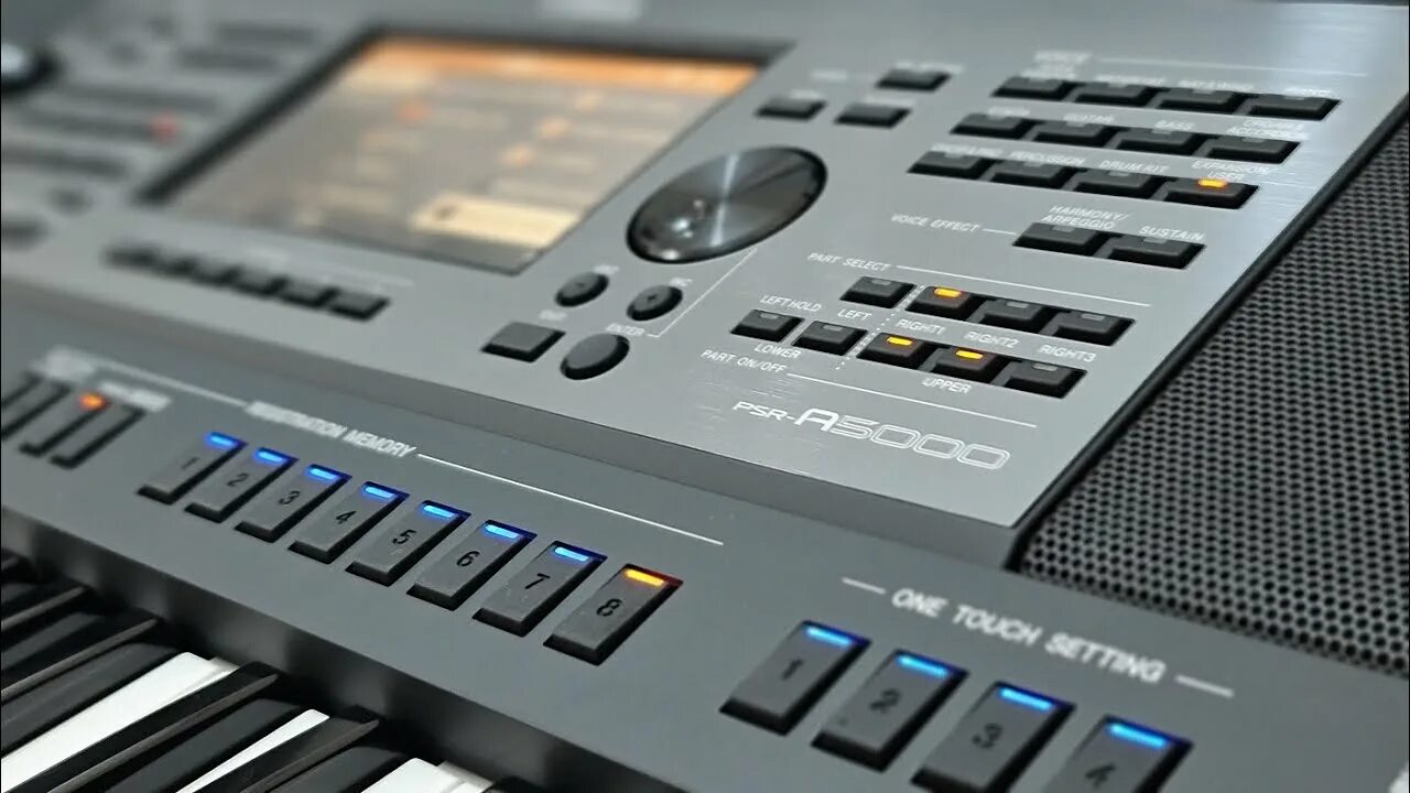 Синтезатор ямаха psr а 5000. Yamaha psr a5000 цена купить в москве. Psr-a pilica. Синтезатор ямаха psr а 5000. Yamaha psr a5000 характеристика.