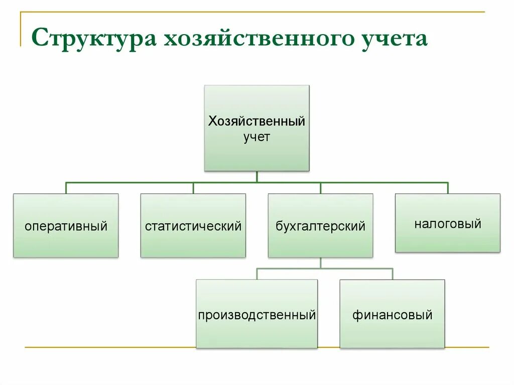 Состав хозяйственного учета