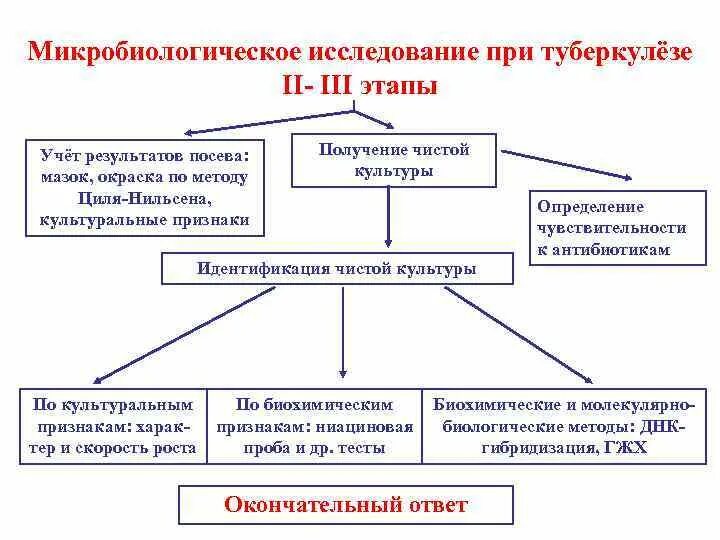 Алгоритм микробиологического исследования. Микробиологическая диагностика туберкулеза схема. микробиологическое исследование при туберкулезе. бактериологический метод диагностики туберкулёза алгоритм. схема микробиологического исследования туберкулеза.
