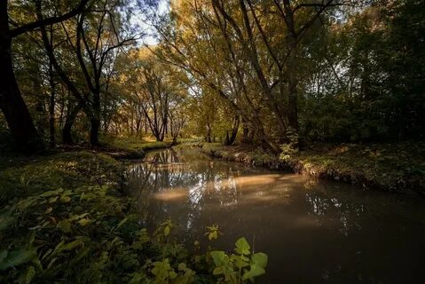 Суходрев калуга на завтра