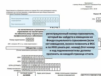 Найти организацию по регистрационному номеру фсс
