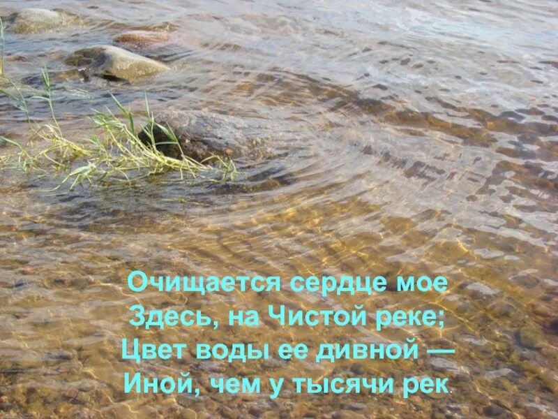 Красивые цитаты про реку. Четверостишье про реку. Стих про реку. Чистая вода в реке. Песня а жизнь мутная вода