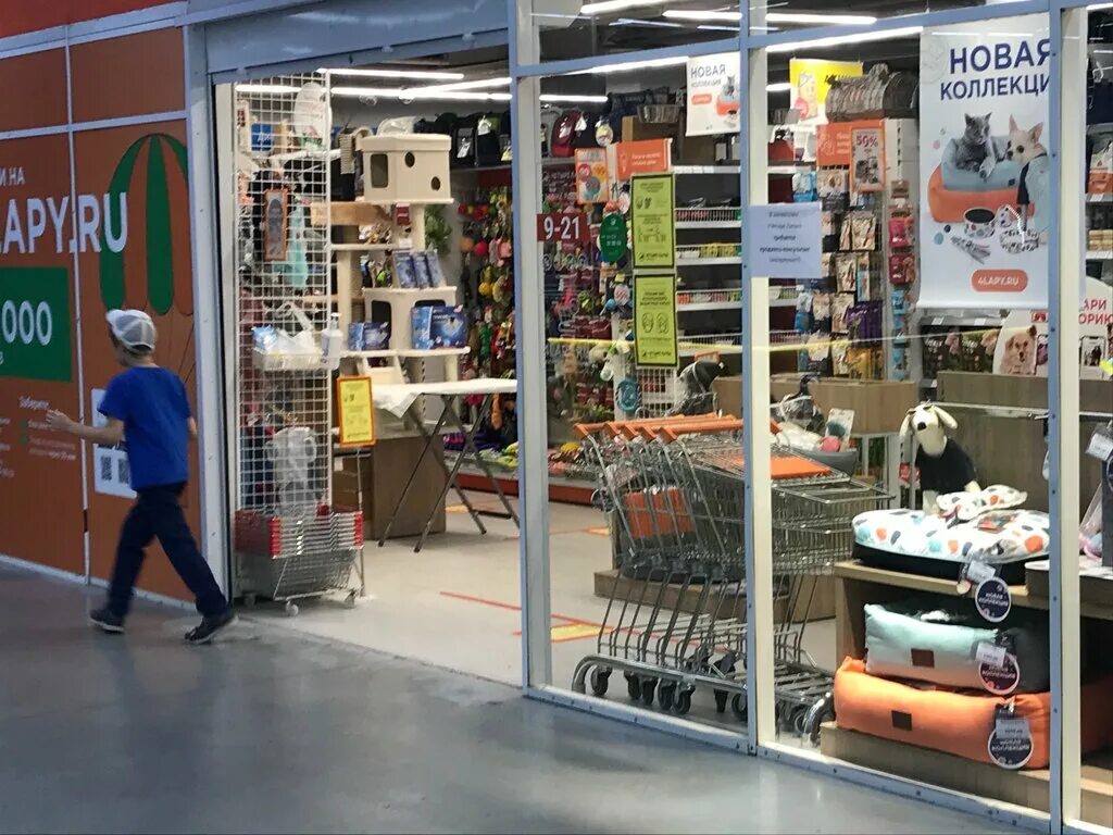 4 лапы магазины липецк. липецк ул петра смородина 13 а тц армада. 4 лапы магазины липецк. четыре лапы вывеска. 4 лапы магазины липецк.