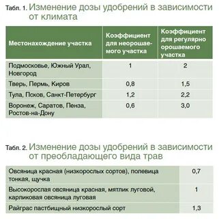 Сколько газона нужно на сотку
